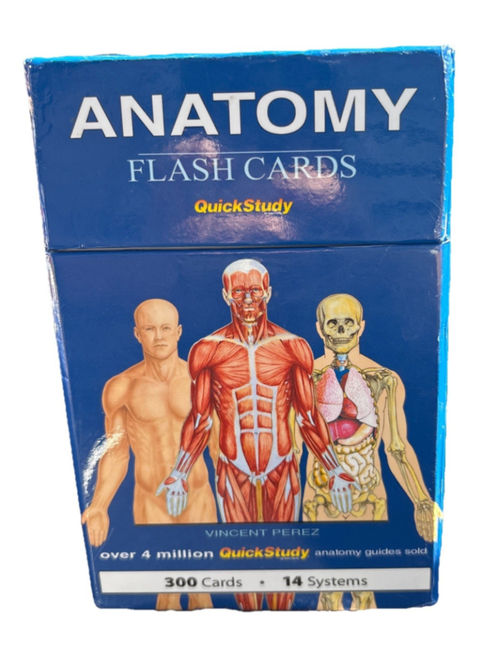 ANATOMY FLASH CARDS-QUICK STUDY-300 CARDS-14 SYSTEMS- OPEN BOX SET